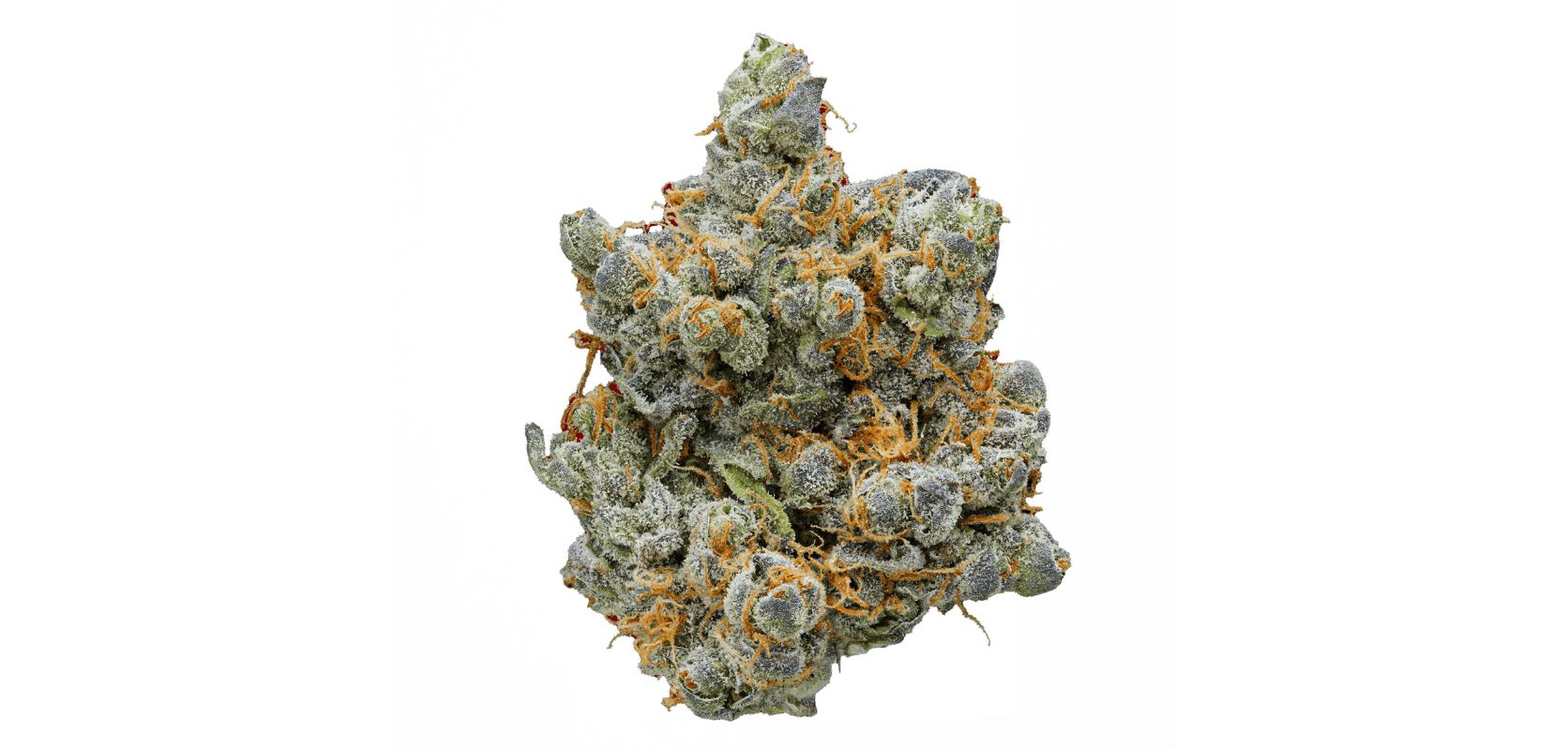 Why More Customers Choose Euro Weed Clinic to Buy THC Weed Europe