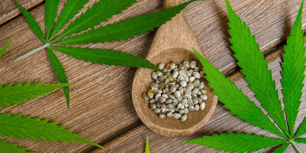 Pre-Filled Vape Oil Cartridges Australia – Consumer Insights on Vapes
