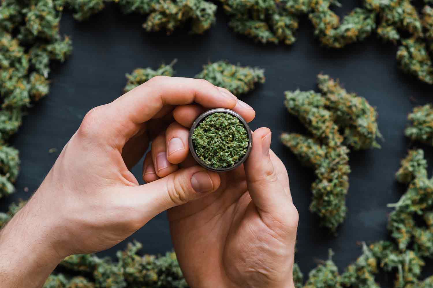 CBD Kush Mastery: From Selection to Sale at Green Leaf Store EU